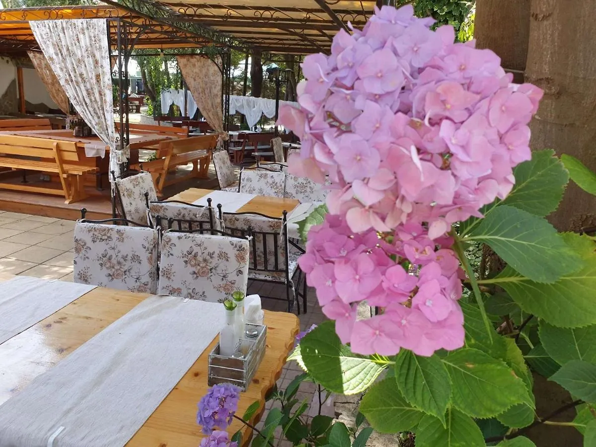 Hotel Sea Horse Burgas City